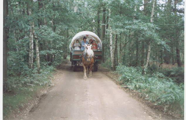 foto12