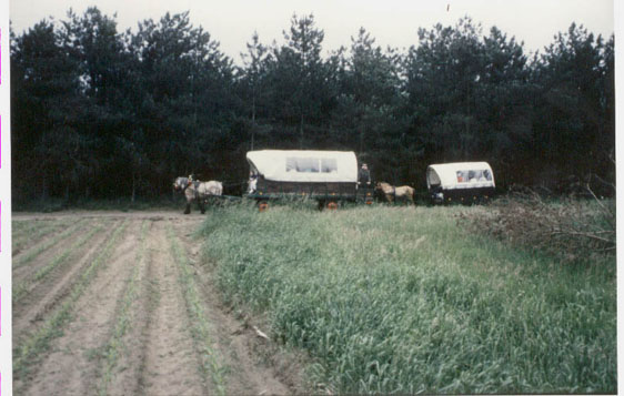 foto5