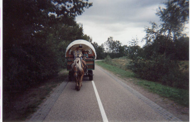 foto6