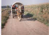 foto8
